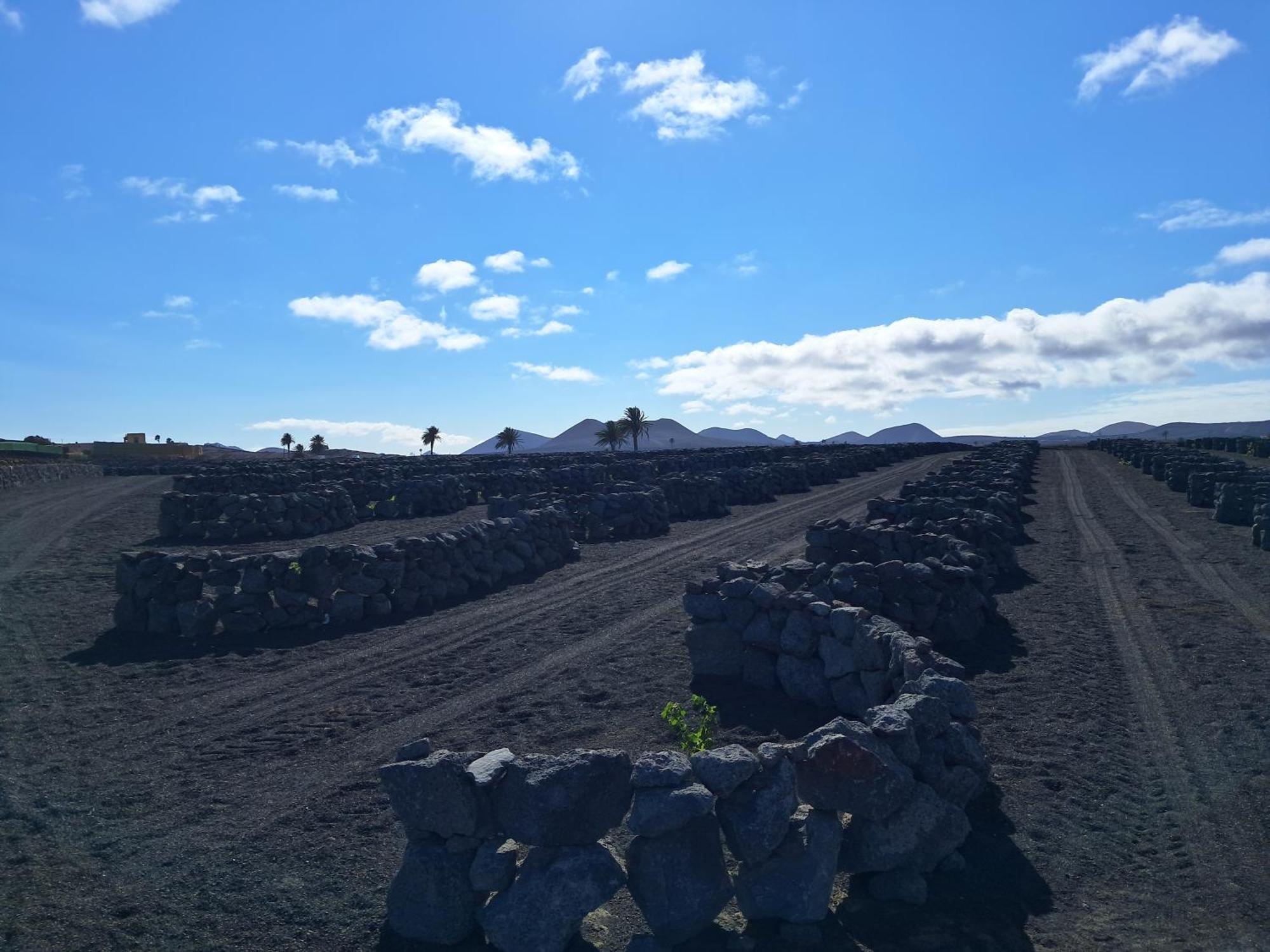 شقة El Lagar San Bartolomé المظهر الخارجي الصورة